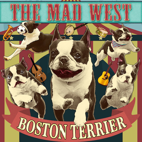 3rd Album「BOSTON TERRIER」